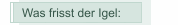 Was frisst der Igel: 