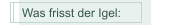 Was frisst der Igel: 